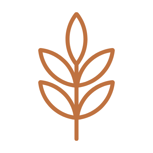 Premium Ingredients